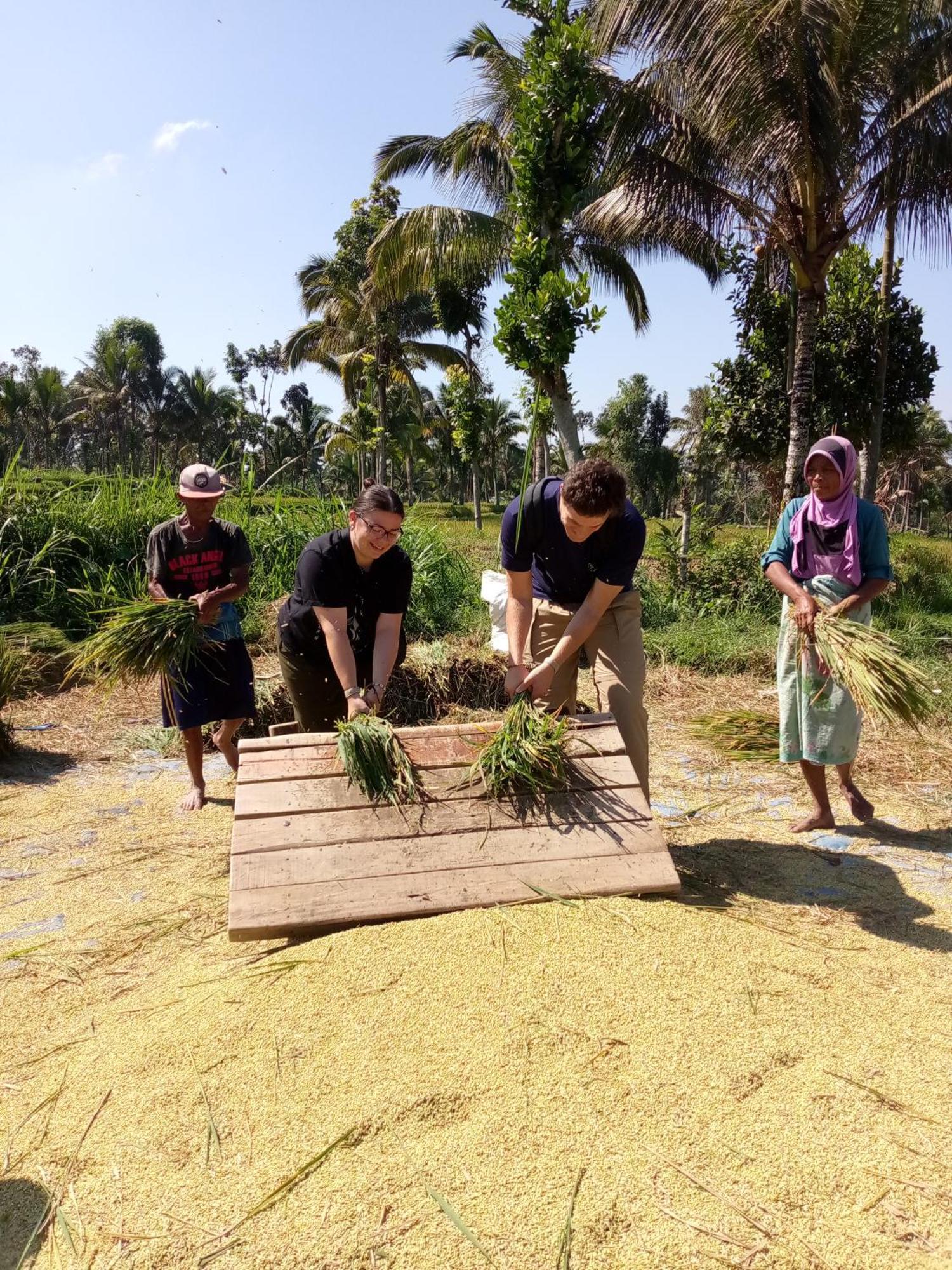 Syaqila Homestay Lombok Tetebatu Kültér fotó