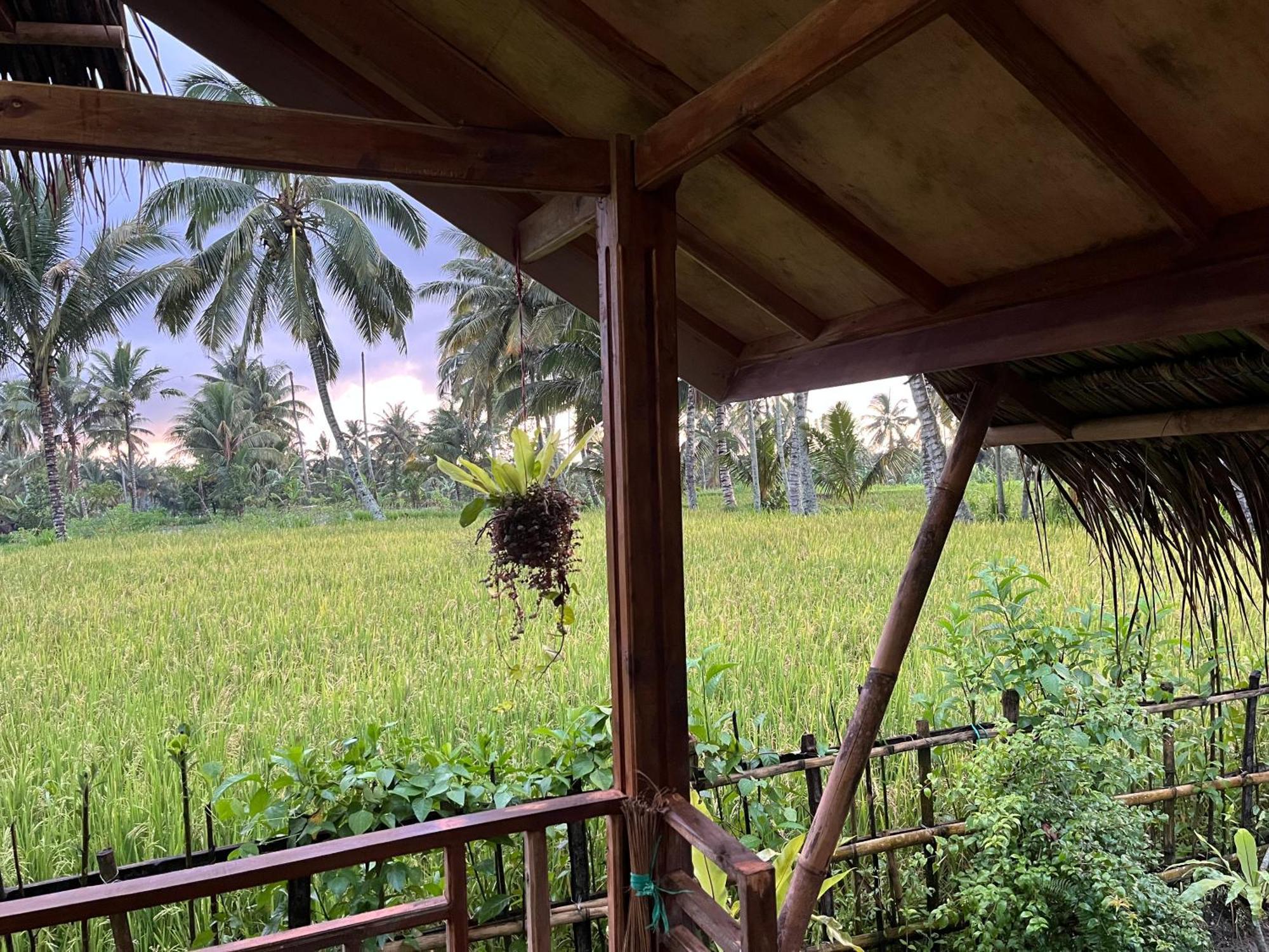 Syaqila Homestay Lombok Tetebatu Kültér fotó