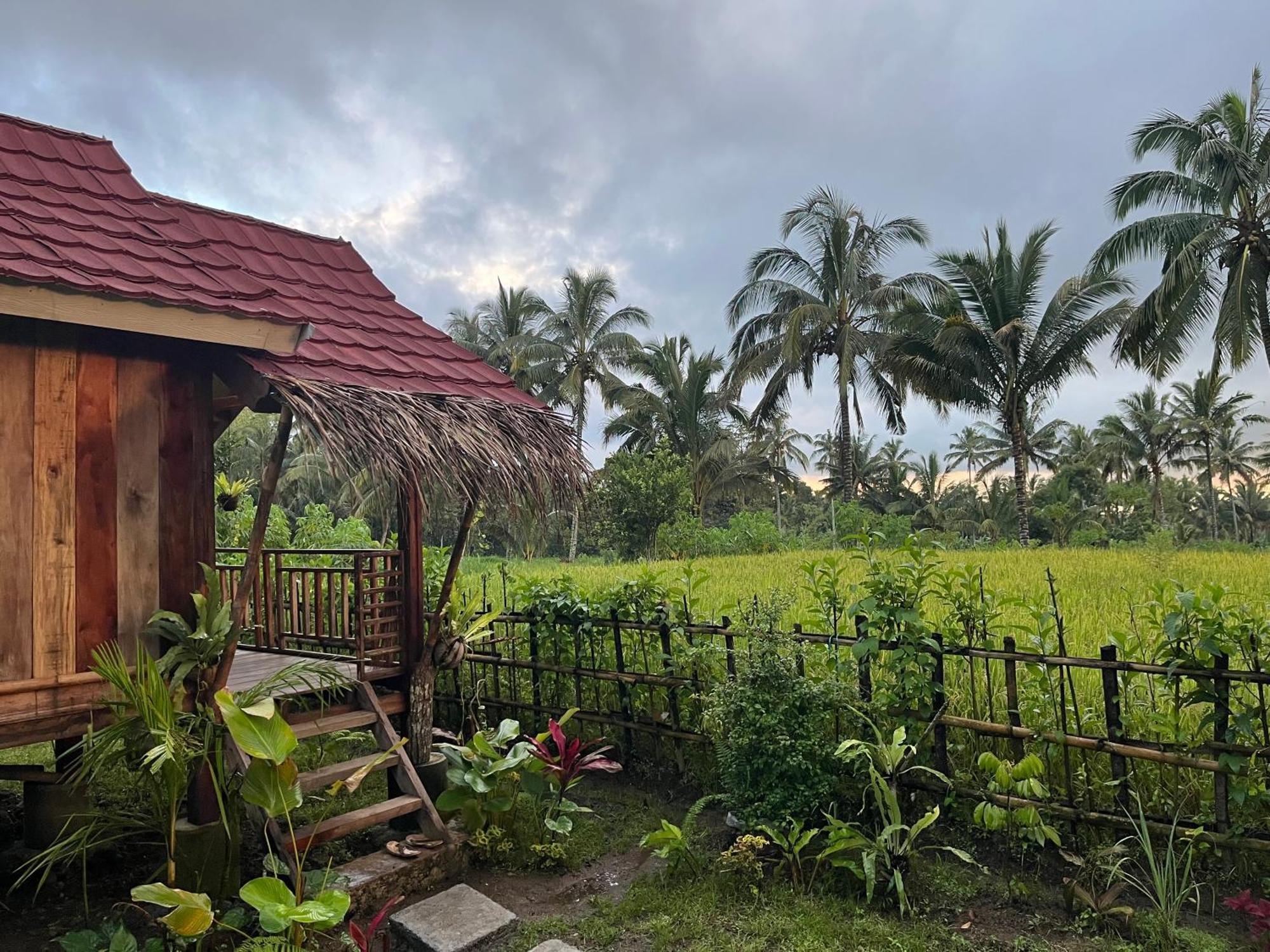 Syaqila Homestay Lombok Tetebatu Kültér fotó
