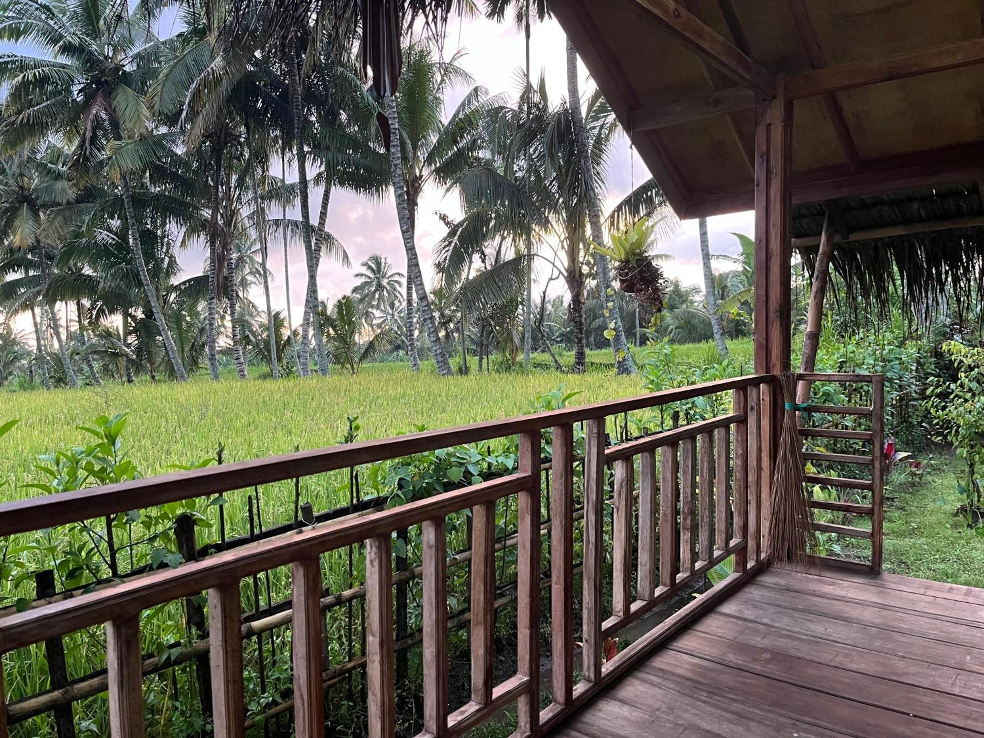 Syaqila Homestay Lombok Tetebatu Kültér fotó