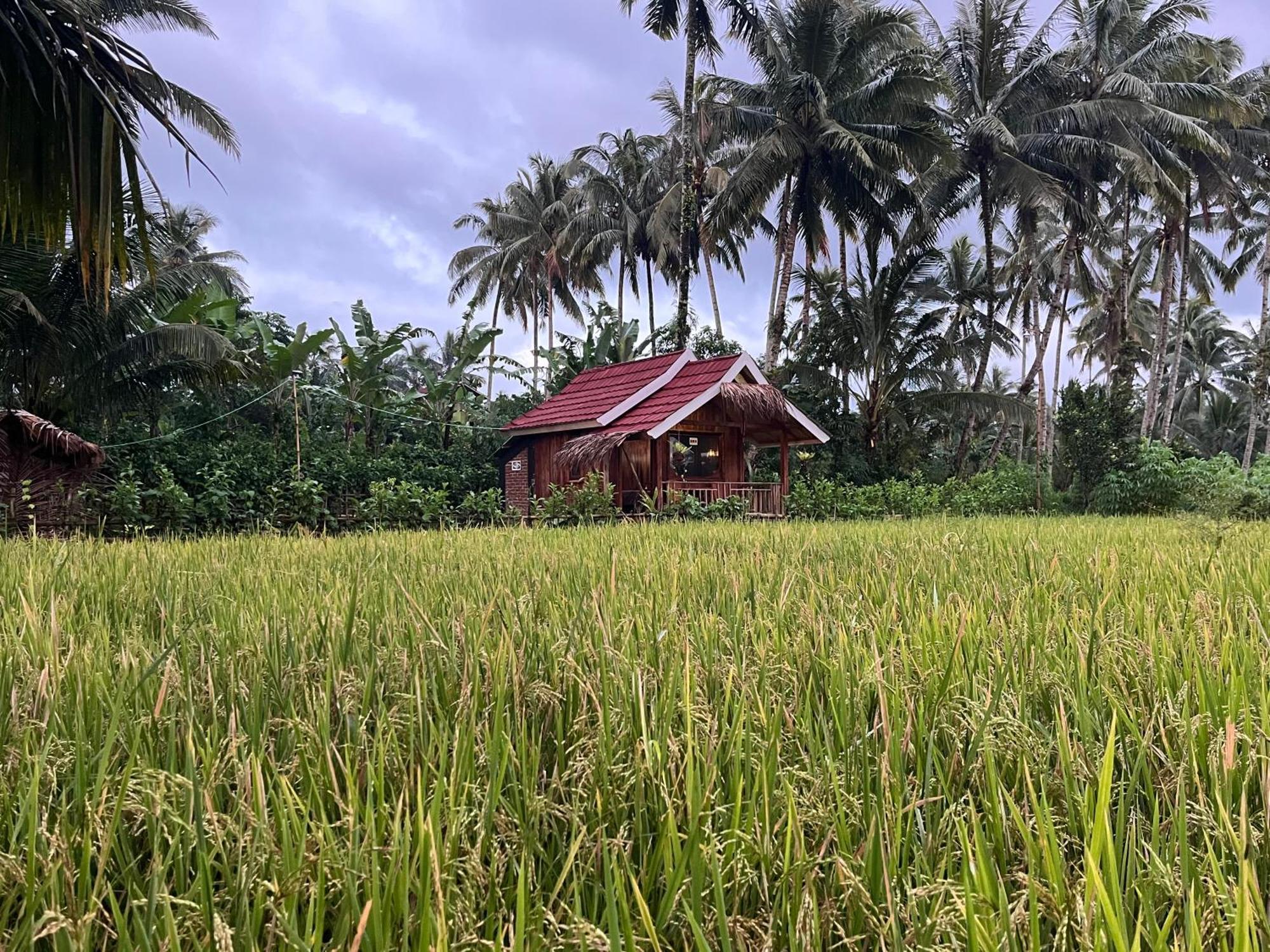 Syaqila Homestay Lombok Tetebatu Kültér fotó